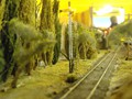 DSCF0028